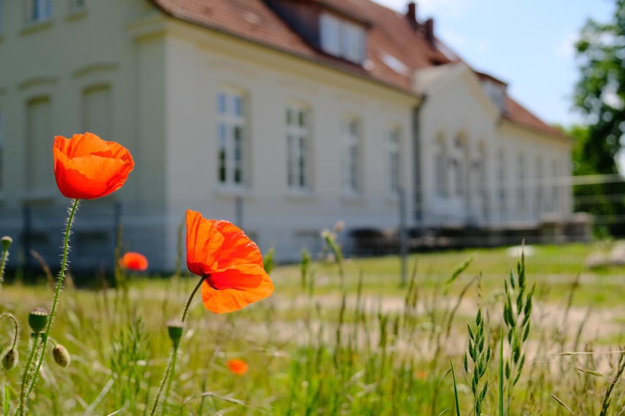 Gutshaus Fewo Luebeck Dassow Exterior foto
